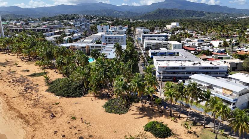 Vista aérea de Luquillo: casas, palmas y la playa, con las montañas al fondo